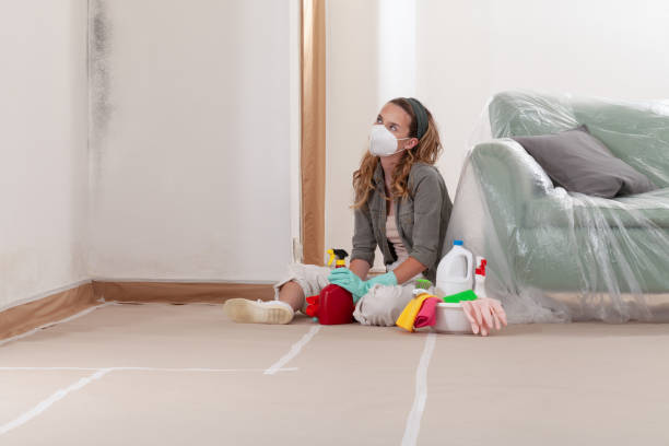Reliable Mold Remediation contractor in Woodland, PA by Cheap Mold Removal