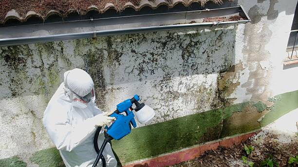 Trusted Mold Testing service in Woodland, PA - Cheap Mold Removal